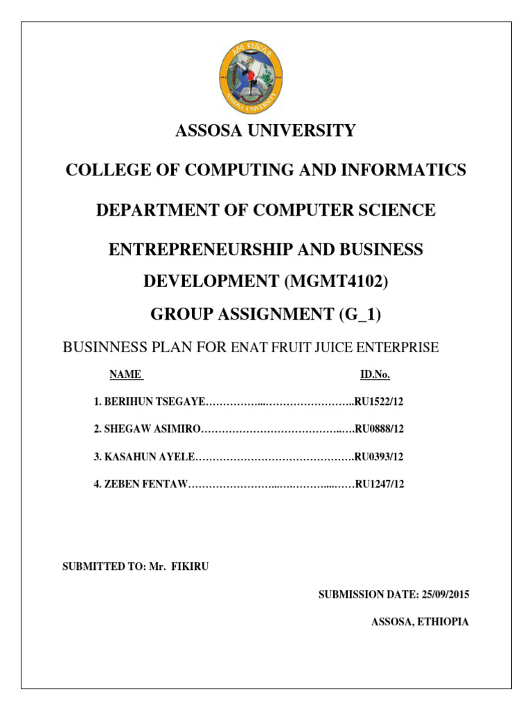 Entreprenuership-Business Plan Assignment (Fruit Juice) | PDF | Expense ...