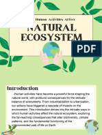 Natural Ecosystem: How Human Activities Affect