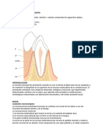 ANATOMIA DEL PERIODONTO