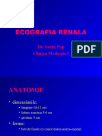 Renal - anatomie malformatii