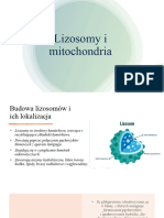 Lizosomy i Mitochondria