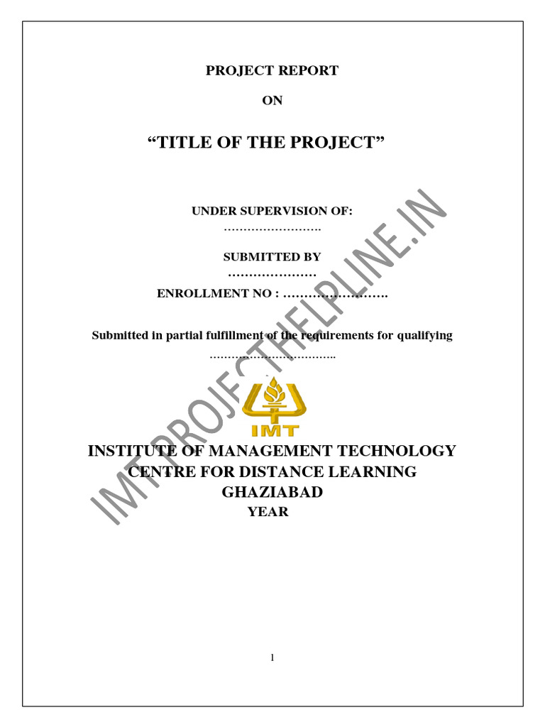 IMT Project Report on Data Quality Management | PDF | Data