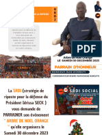 S.R.D.I Social: Strategie de La Riposte Pour La Defense