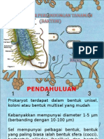 Dasar-dasar Perlindungan Tanaman (Bakteri)