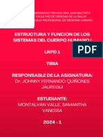 LRPD 1 Estructura