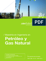 Maestria Petroleo y Gas