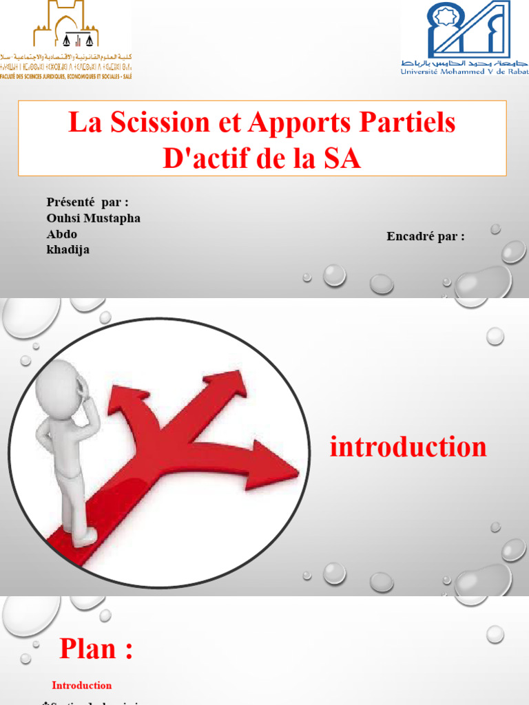 Scission et Apports Partiels d'Actif SA | PDF | Banques | Bilan comptable