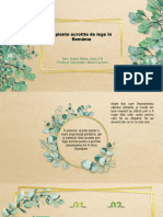 Watercolor Green Leaves Frame PowerPoint Templates