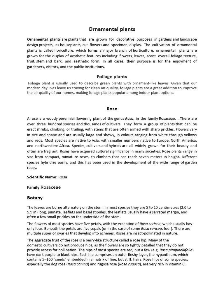 15878866691HSCTC0401 - Ornamental and Foliage Plants | PDF | Asparagus ...