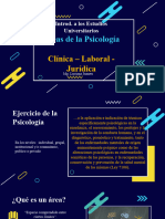 Areas de La Ps. Clínica - Laboral - Juridica - Extendido