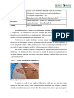 Estudo Dirigido II_Análise Geológica_3ªVersão (1)