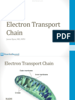 Electron Transport Chain atf