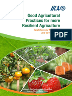 Good Agricultural Practices for More Resilient Agriculture Guidelines for Producers and Governments