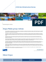 Analysis of The Argus Oil & Gas Infrastructure Survey: Selected Results and Analysis