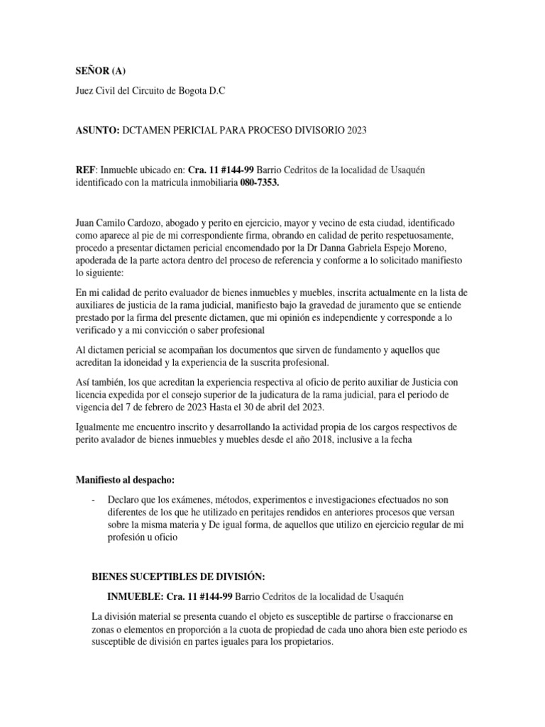 dictamen-pericial-pdf-testigo-experto