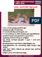 Japanese_quail_farming_3x4_final Tamil