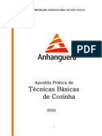 Apostila TÃ©cnicas BÃ¡sicas 2024.1