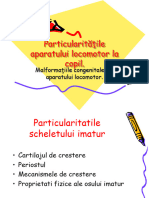 RO6 Particularităţile Aparatului Locomotor La Copil