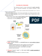 Pancreas Endocrin