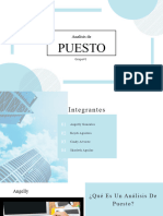 Analisis de Puestos