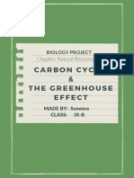 Carbon Cycle