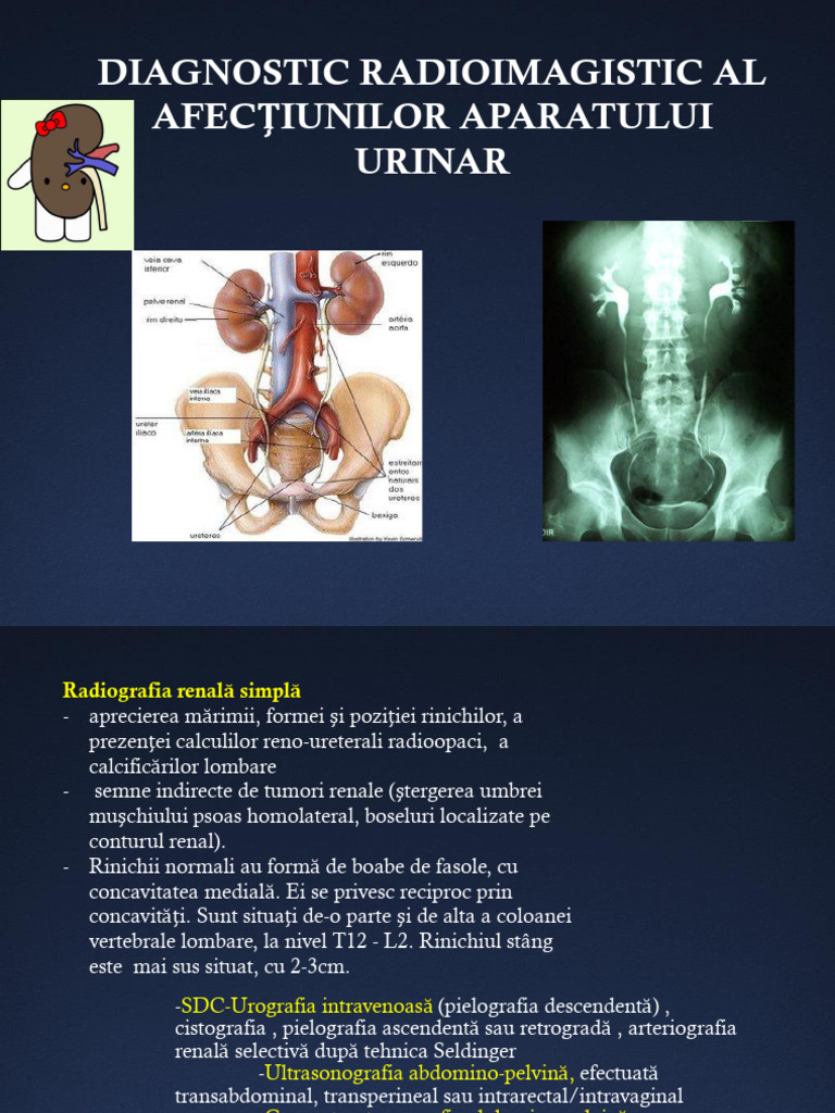 Renal RX | PDF