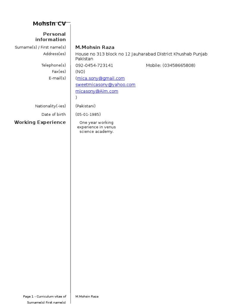 Mohsin Raza CV: IT Skills & Experience | PDF | Computer Programming ...