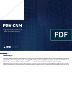Manual PGV CNM 2 1 Usuario