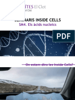 Yd - 1lab - Ic - SM4 - Els Àcids Nucleics - Alumnes