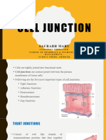 cell-junction