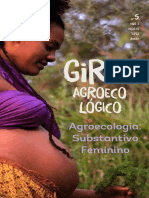 Giro agroecológico_agroecologia substantivo feminino