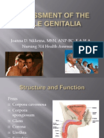 Student Assessment of The Male Genitalia ACTUAL