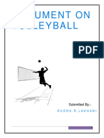 Project File Volleyball