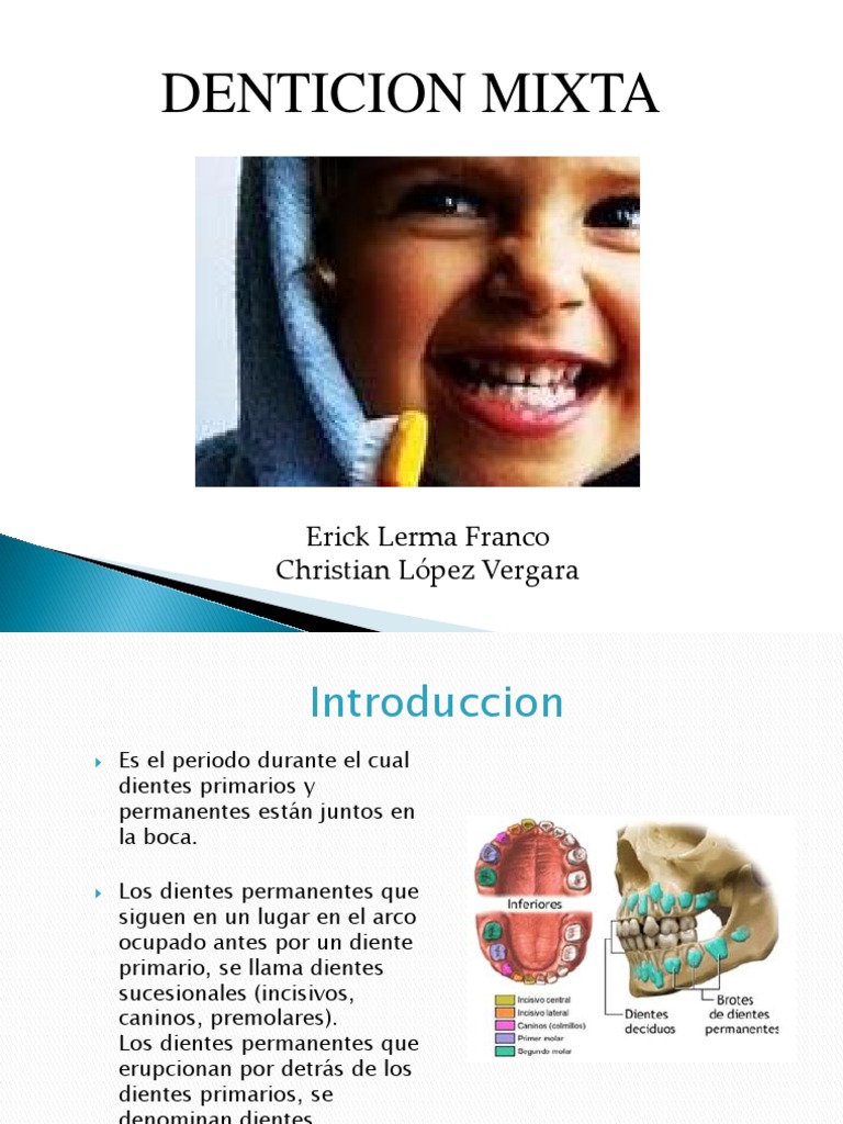 Denticion Mixta Erick | PDF | Diente humano | Cabeza y cuello humanos