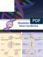 L1-Klinefelter, Turner & Down Syndrome