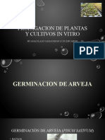 Trabajo Final - Propagacion de Plantas y Cultivos in Vitro