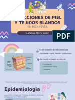 Inf. Piel y Tejidos Blndos