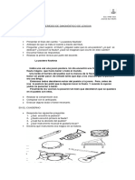 Período de Diagnóstico Lengua