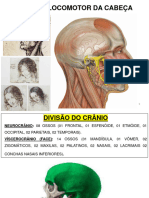 Locomotor Da Cabeça e Pescoço