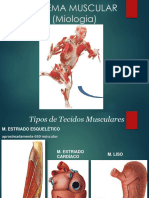 Generalidades Do Sistema Muscular