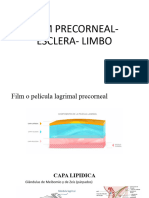 Film Precorneal - Esclera
