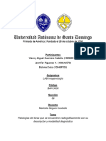 Patologías Del Tórax Que Se Encuentren Radiográficamente Con Su Descripción y Modalidad Diagnóstica