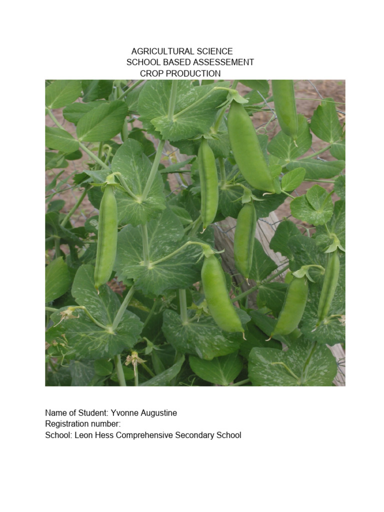 Agri (Sba) | PDF