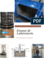 Ensayos de Laboratorio                                         