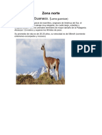 Guanaco