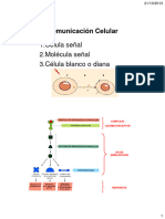 Vías de Señalización