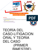 APE de Teoría Del Caso y Litigación Oral - Primer Bimestre - Unificado - MESD