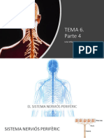 Tema 6. Relació. Part 4