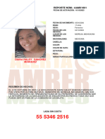 Anexo 1 Alerta Amber Daira Haley Sanchez Marquez (Mich)