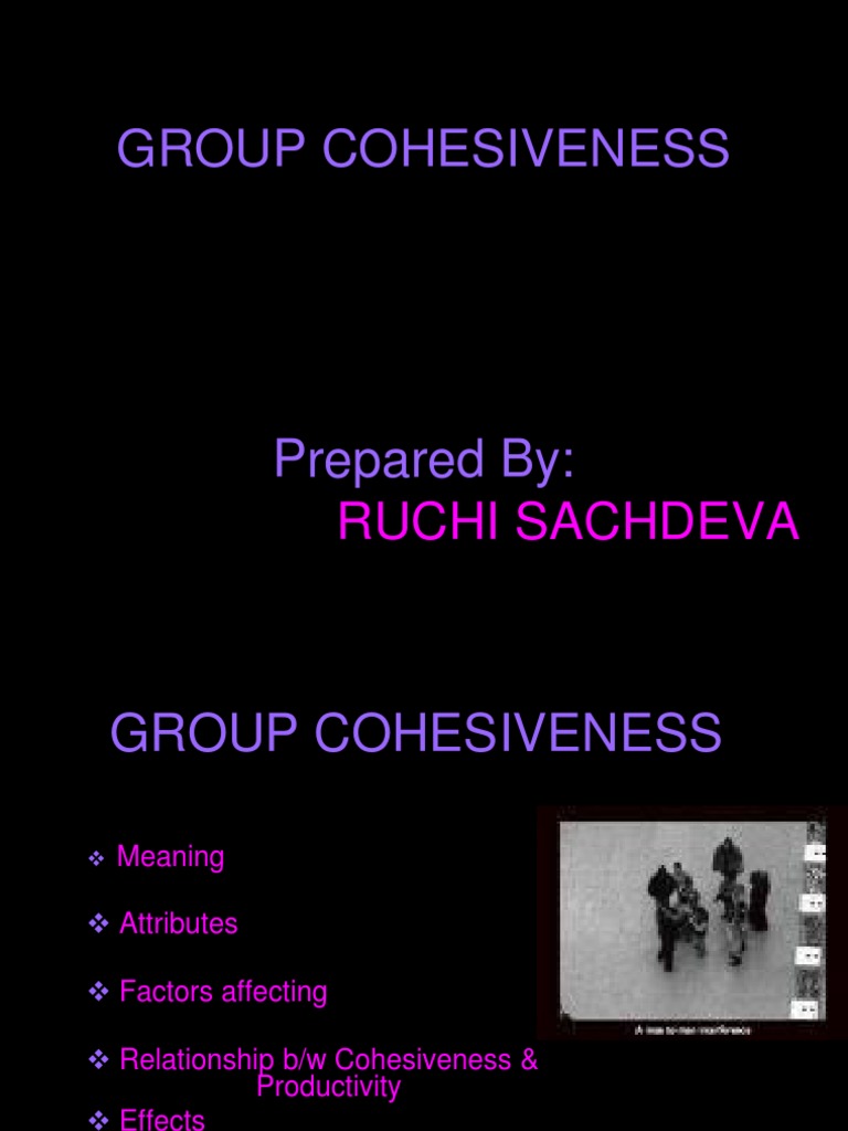 Understanding Group Cohesiveness Factors | PDF
